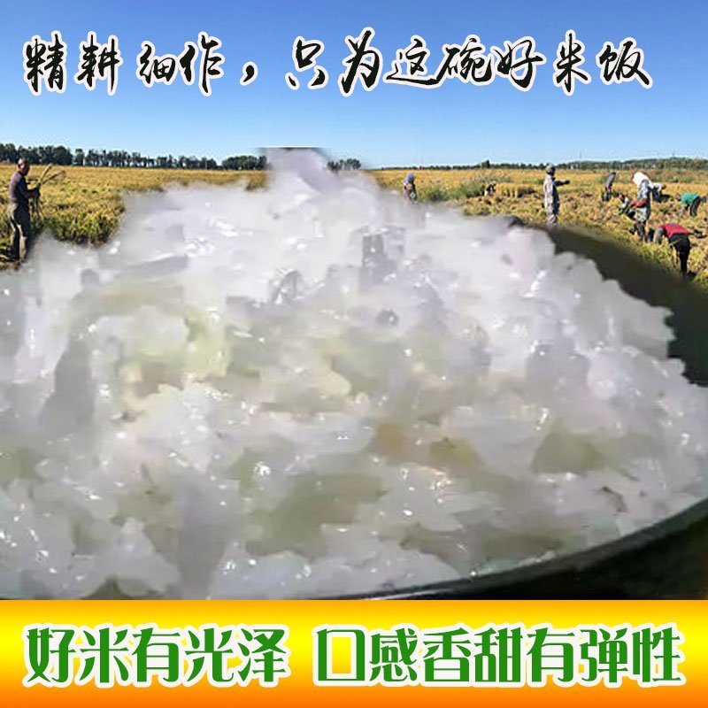 2019新米10斤正宗东北五常稻花香大米