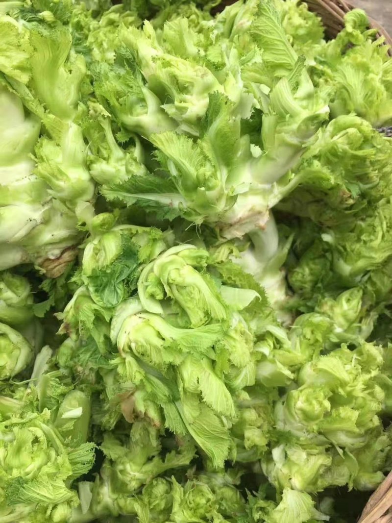 儿菜