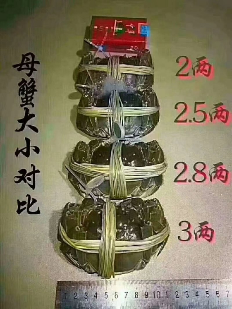 南京市高淳区固城湖大闸蟹专卖