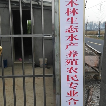 南京市高淳区固城湖大闸蟹专卖