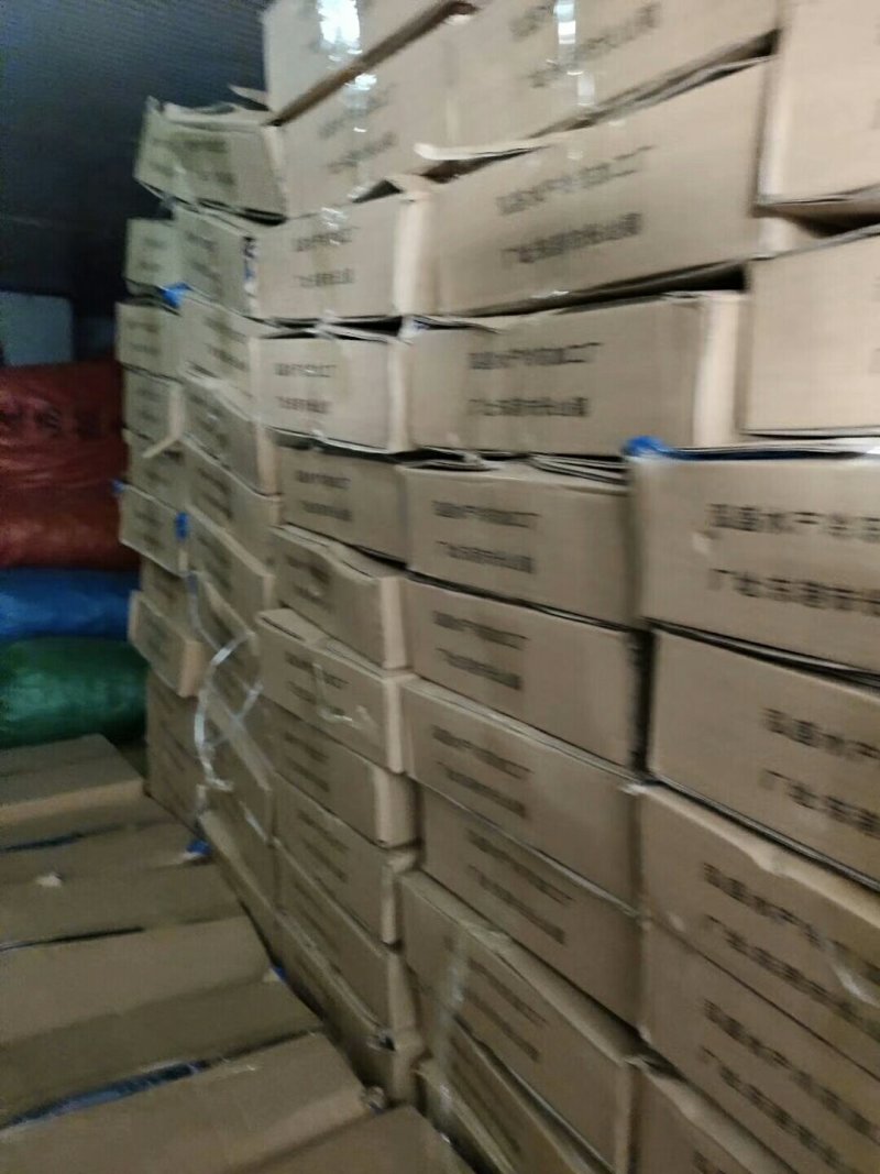 鲅鱼