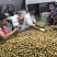 泰国东部龙眼，净果25斤，泰国工厂直发，长期供应货源