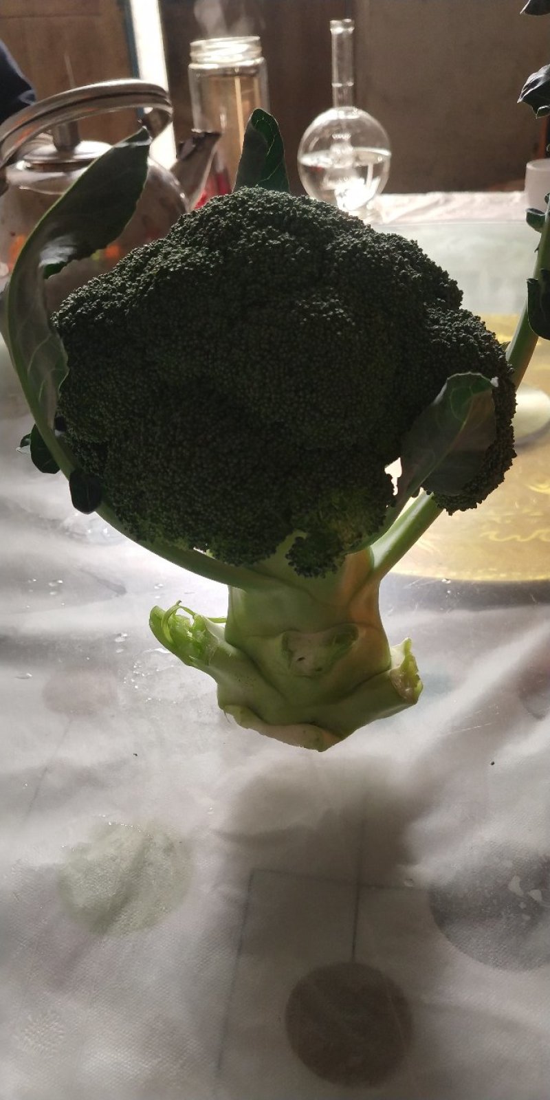西兰花