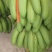 香蕉为你代购