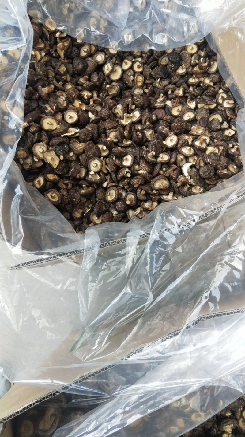 剪脚香菇干品，袋子菇，2019冬菇，迷你香菇1-2.5