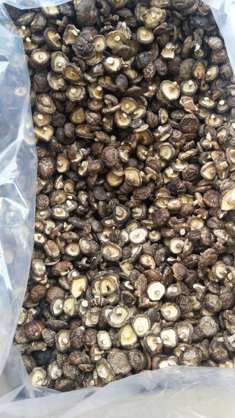 剪脚香菇干品，袋子菇，2019冬菇，迷你香菇1-2.5