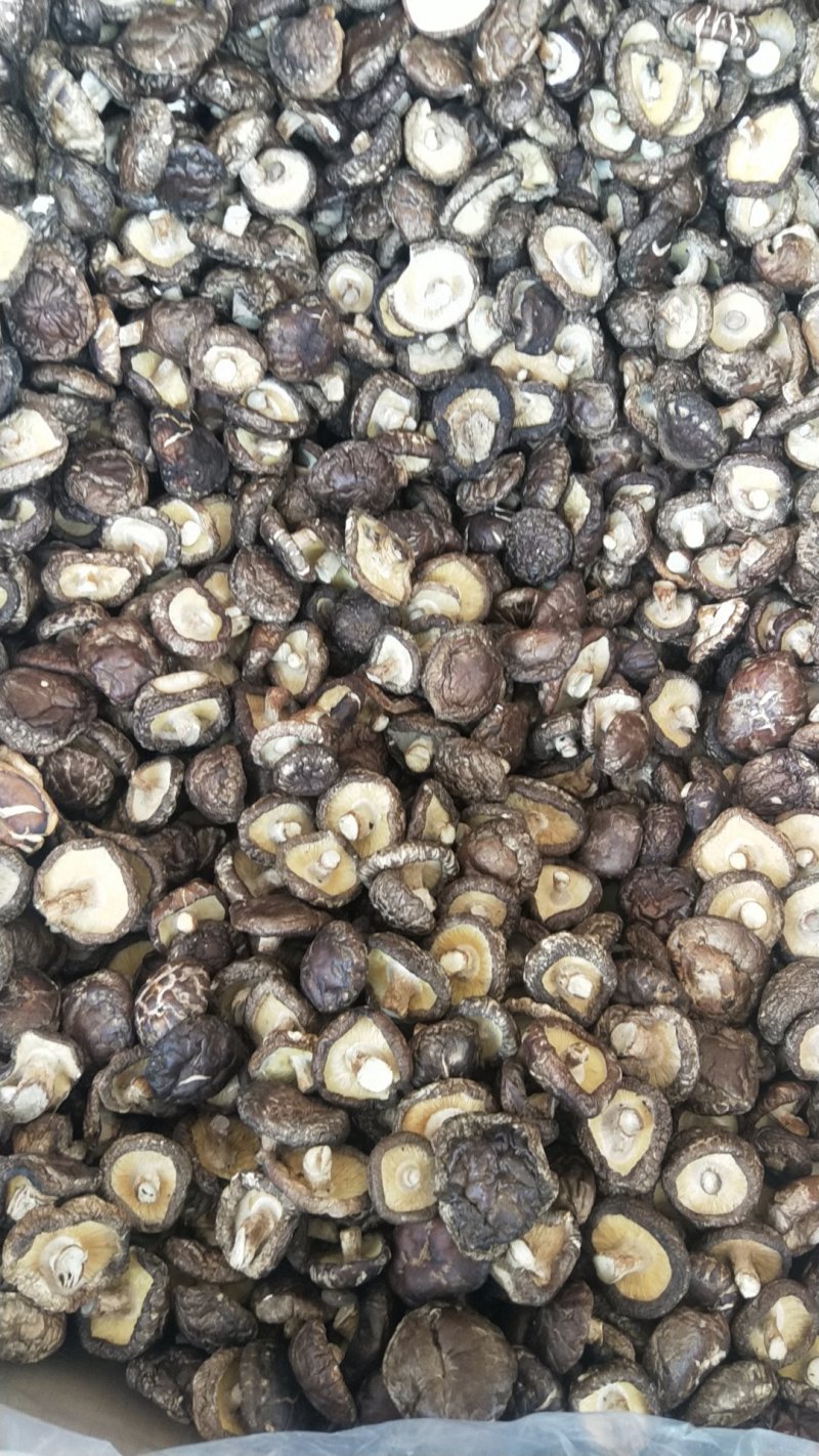 剪脚香菇干品，袋子菇，2019冬菇，迷你香菇1-2.5