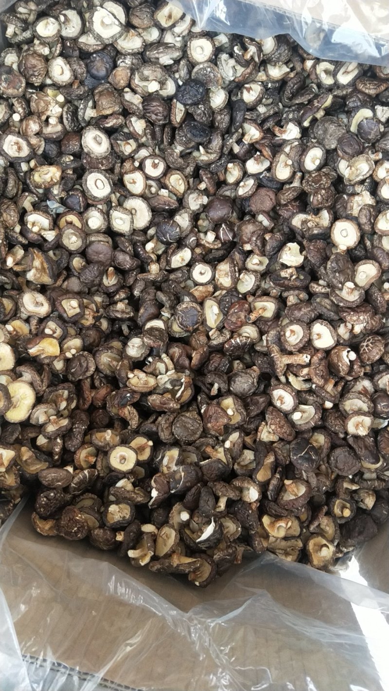 剪脚香菇干品，袋子菇，2019冬菇，迷你香菇1-2.5