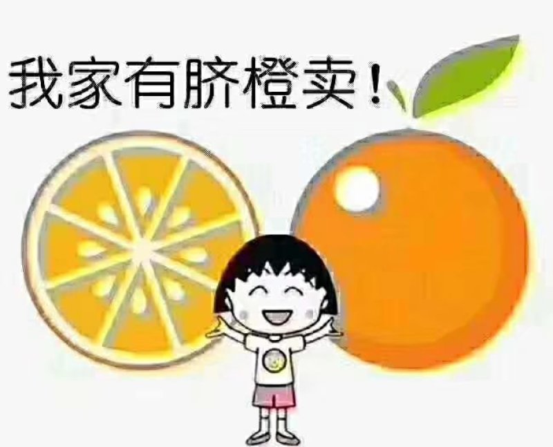 赣南脐橙超好吃