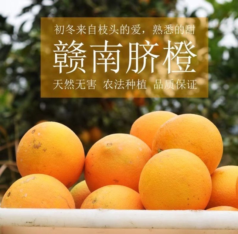 赣南脐橙超好吃