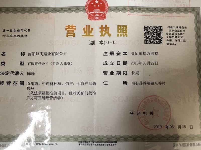 南阳精品鲜香菇/花菇/味道鲜美量大从优/产地直发