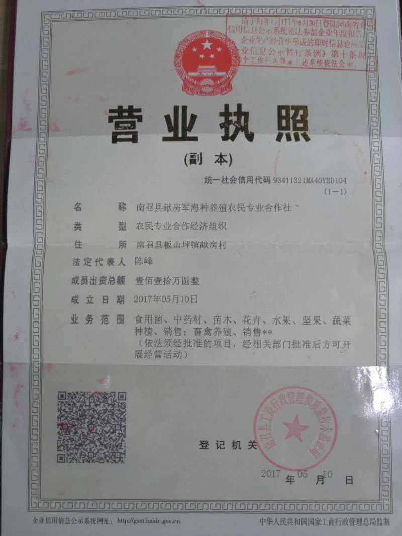 南阳精品鲜香菇/花菇/味道鲜美量大从优/产地直发