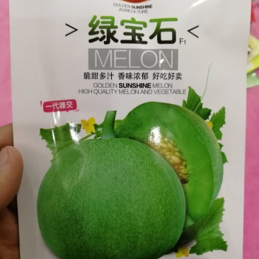 【精选】绿宝石甜瓜种子脆甜多汁香味浓郁好吃好卖一代杂交