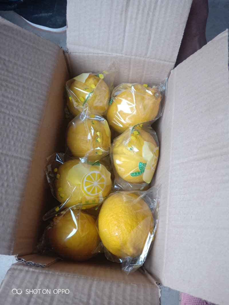 安岳尤力克柠檬皮薄汁多颗粒饱满批发零售代发量大从优