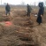 突尼斯软籽石榴苗育苗基地。软籽石榴嫁接管理技术。