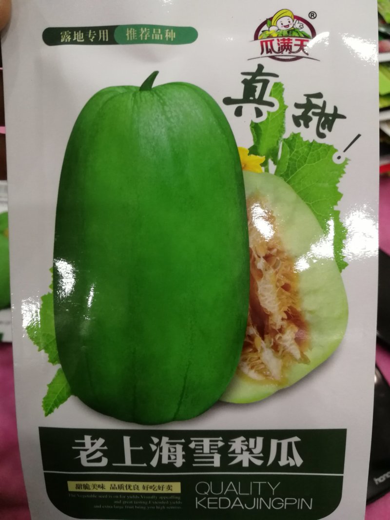 【精选】老上海雪梨瓜露地专用可大面积种植口感爽脆含糖量高