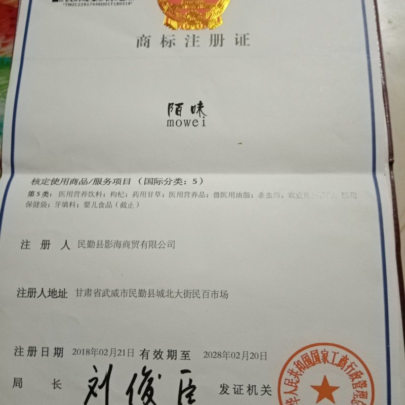 黑枸杞种子批发，甘肃民勤大漠特产！