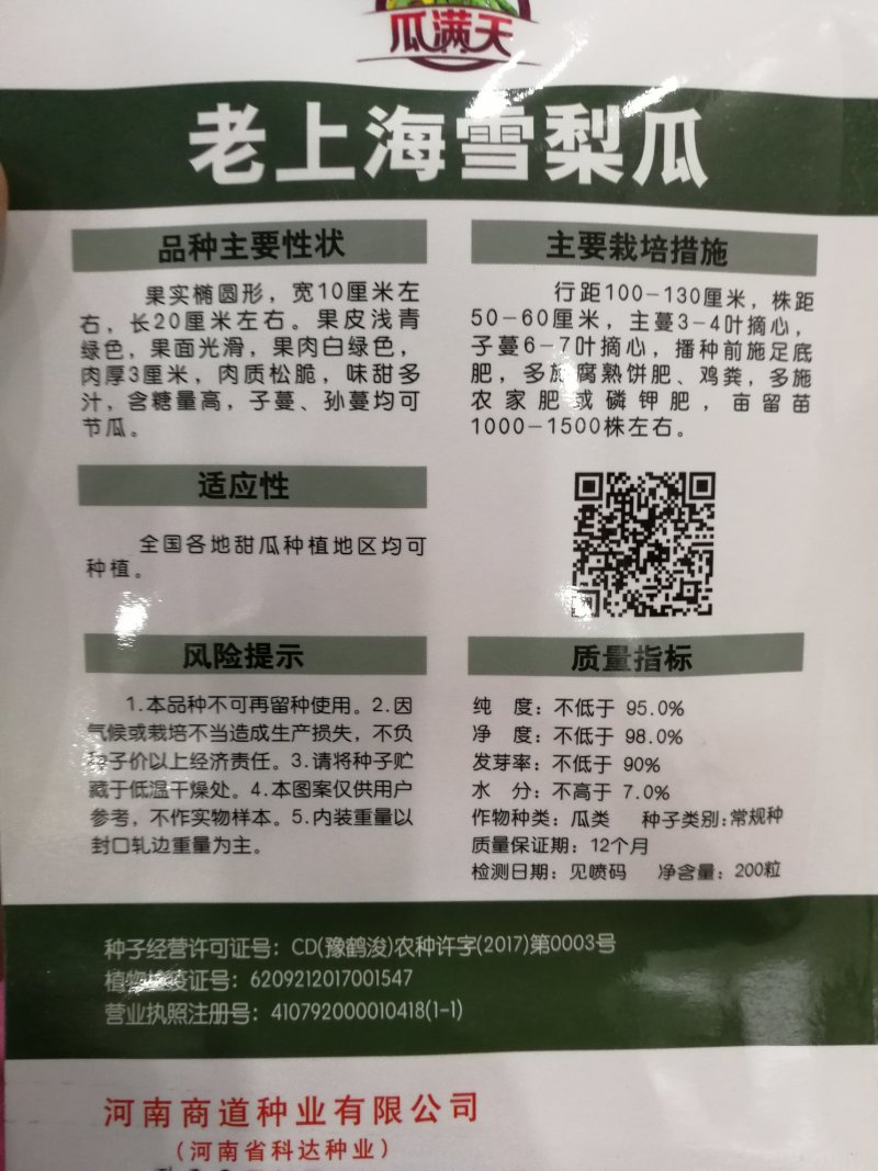 【精选】老上海雪梨瓜露地专用可大面积种植口感爽脆含糖量高
