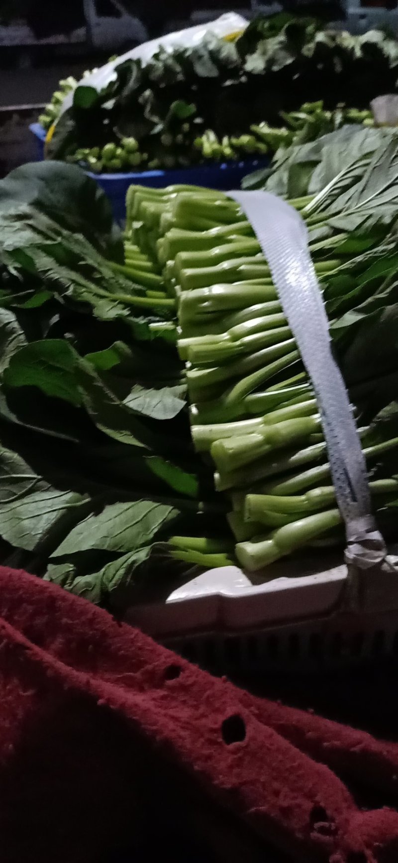 小白菜，瓢儿白，菜心