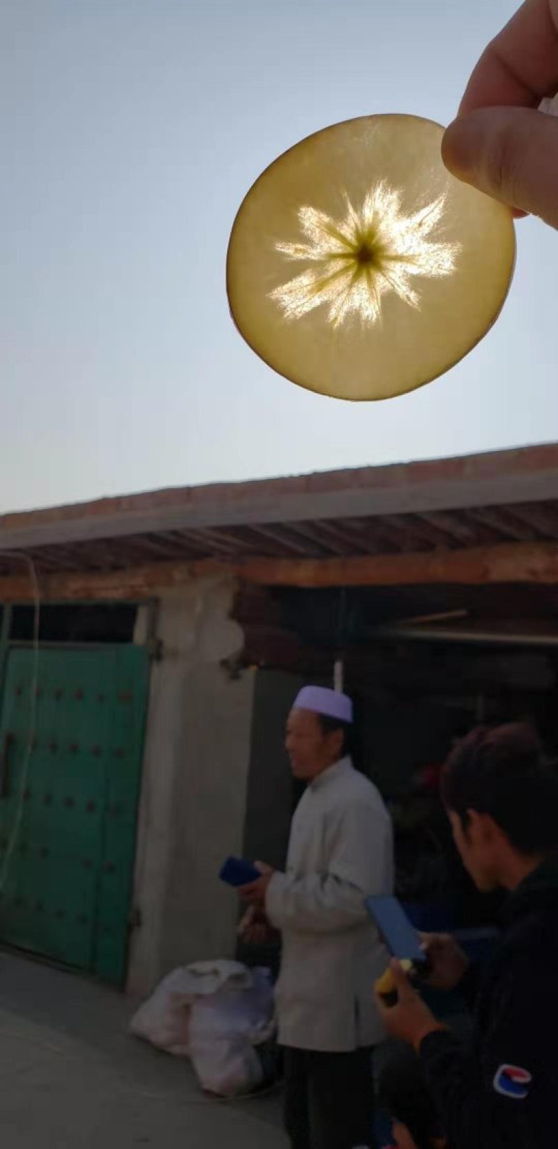 [标题]宁夏中卫红富士冰糖心光果！产地直销，电商！批发商超市