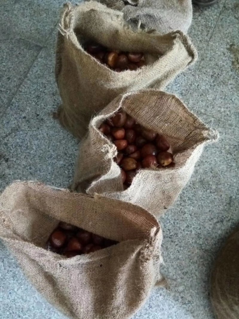 板栗麻袋厂家直销粮食麻袋板栗麻袋粮食麻袋辣椒麻袋大蒜麻袋