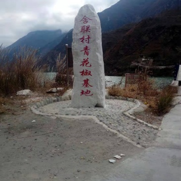 青花椒