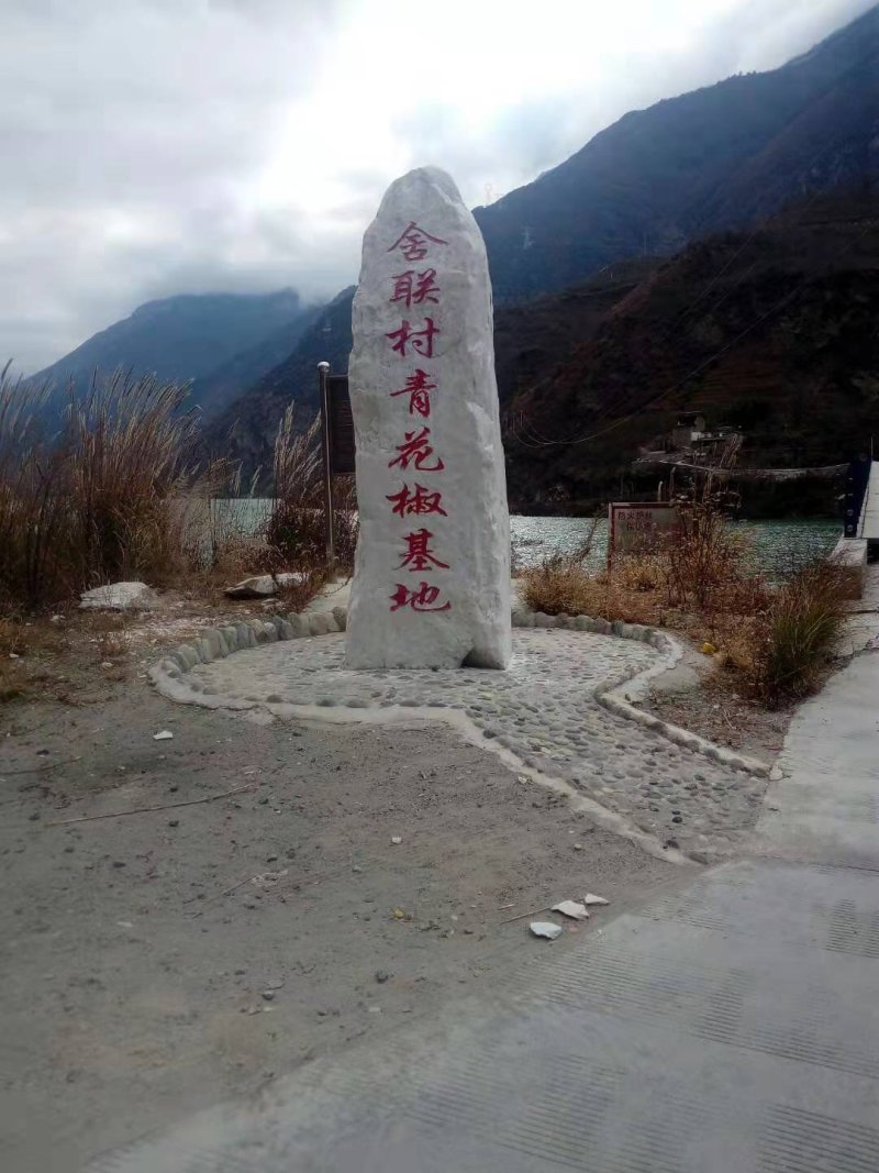 青花椒
