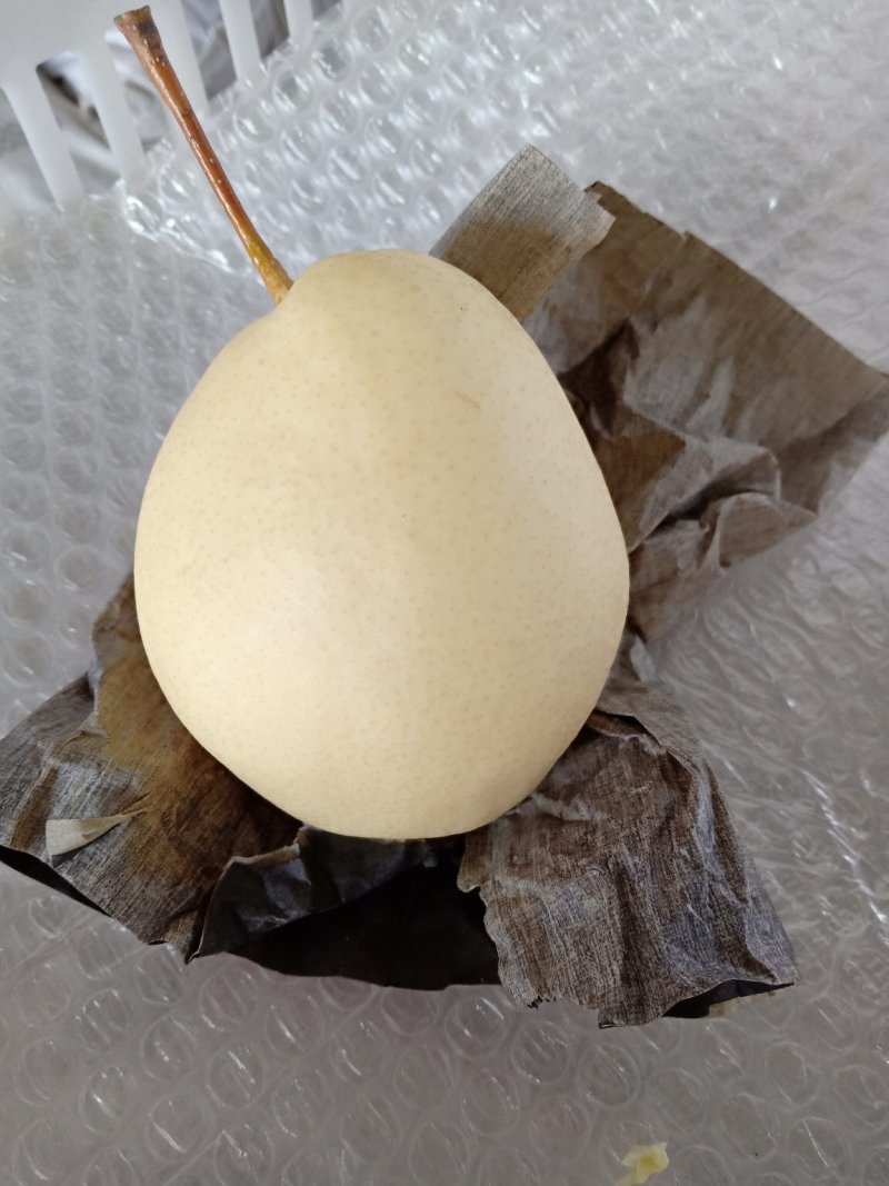 水果