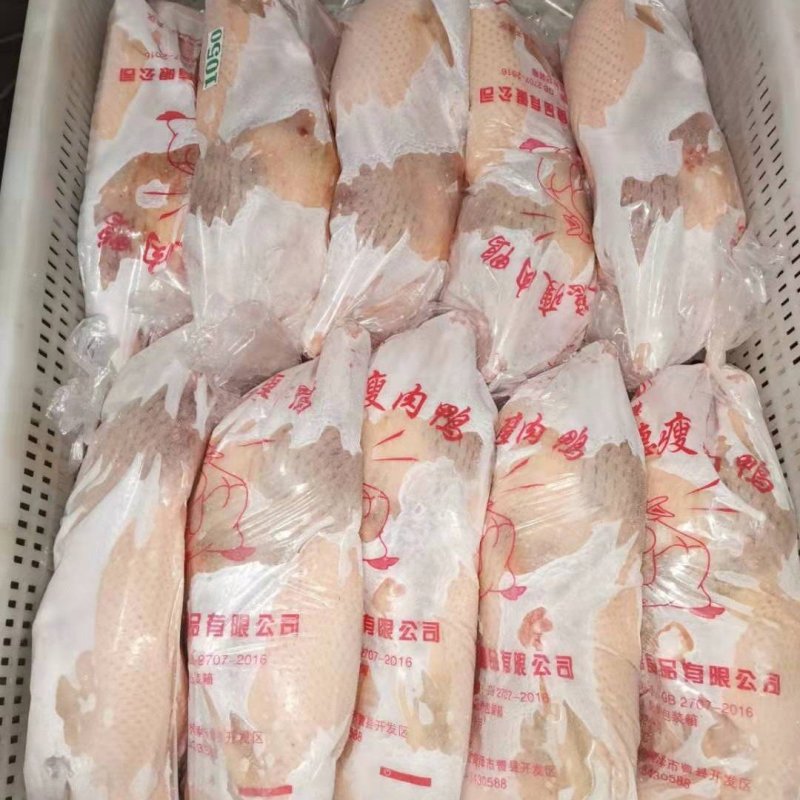 批发各规格白条鸭，发全国，冷链运输有保障