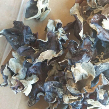 【聚便宜】木耳毛木耳农家自产自销