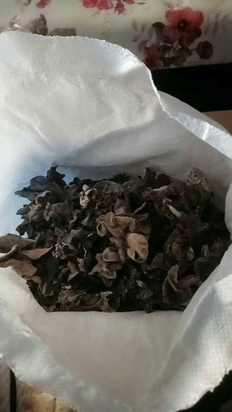 【聚便宜】木耳毛木耳农家自产自销
