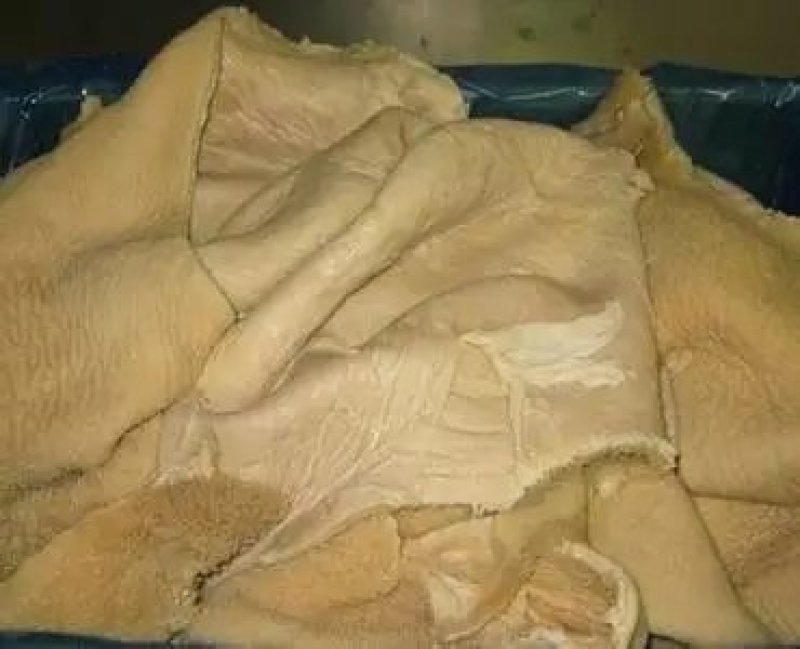 冷冻新鲜牛肚无油干净底子不毛糙不带金钱肚包邮