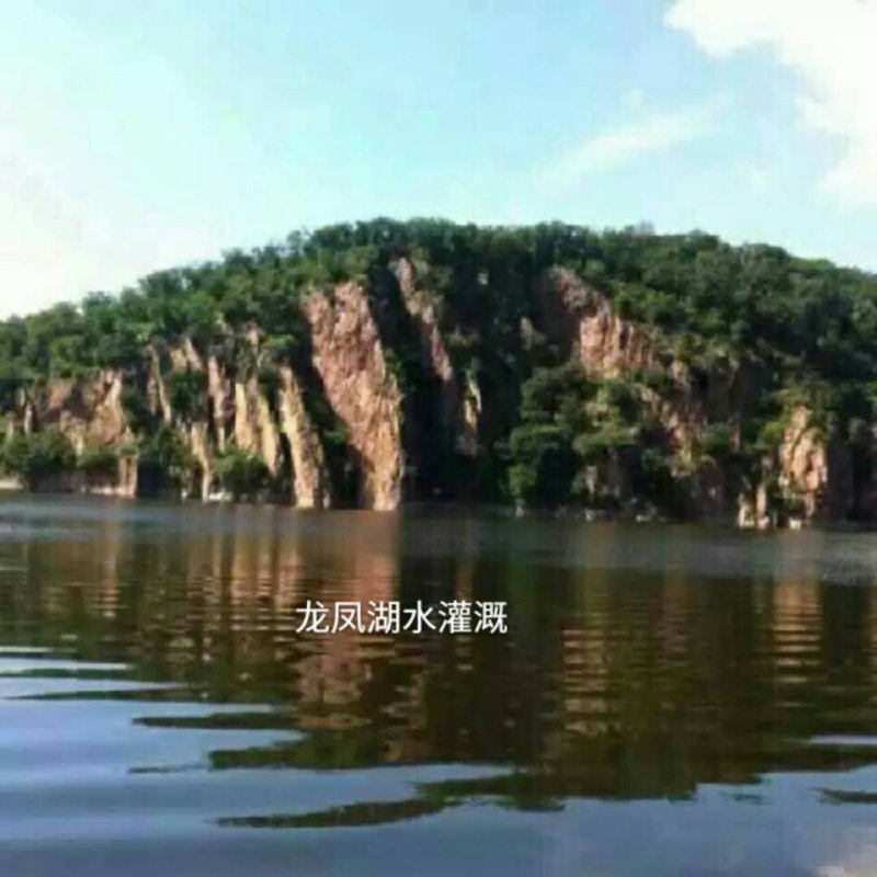 五常稻花香2号大米包邮，自产自销诚信为本，龙凤山乐园直发