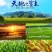 五常稻花香2号大米包邮,自产自销诚信为本,龙凤山乐园直发