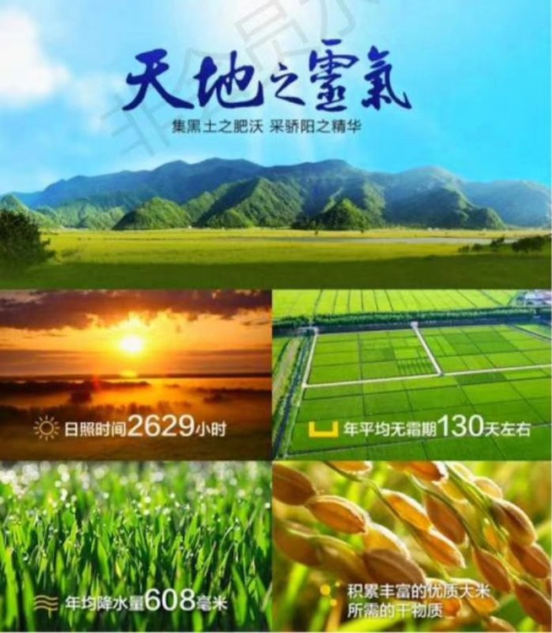 五常稻花香2号大米包邮，自产自销诚信为本，龙凤山乐园直发