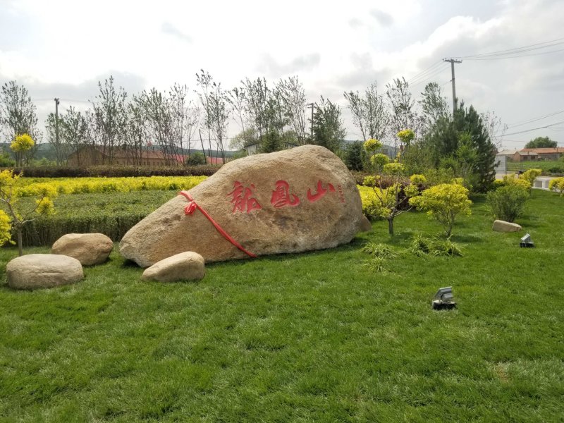 五常稻花香2号大米包邮，自产自销诚信为本，龙凤山乐园直发