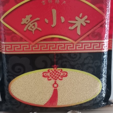 通榆县小米