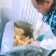 黑龙江精品粘豆包大量批发产地直发手续齐全
