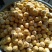黑龙江精品粘豆包大量批发产地直发手续齐全