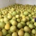 红心柚