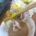 鲜菊花食用菊花长寿花绿色无污染