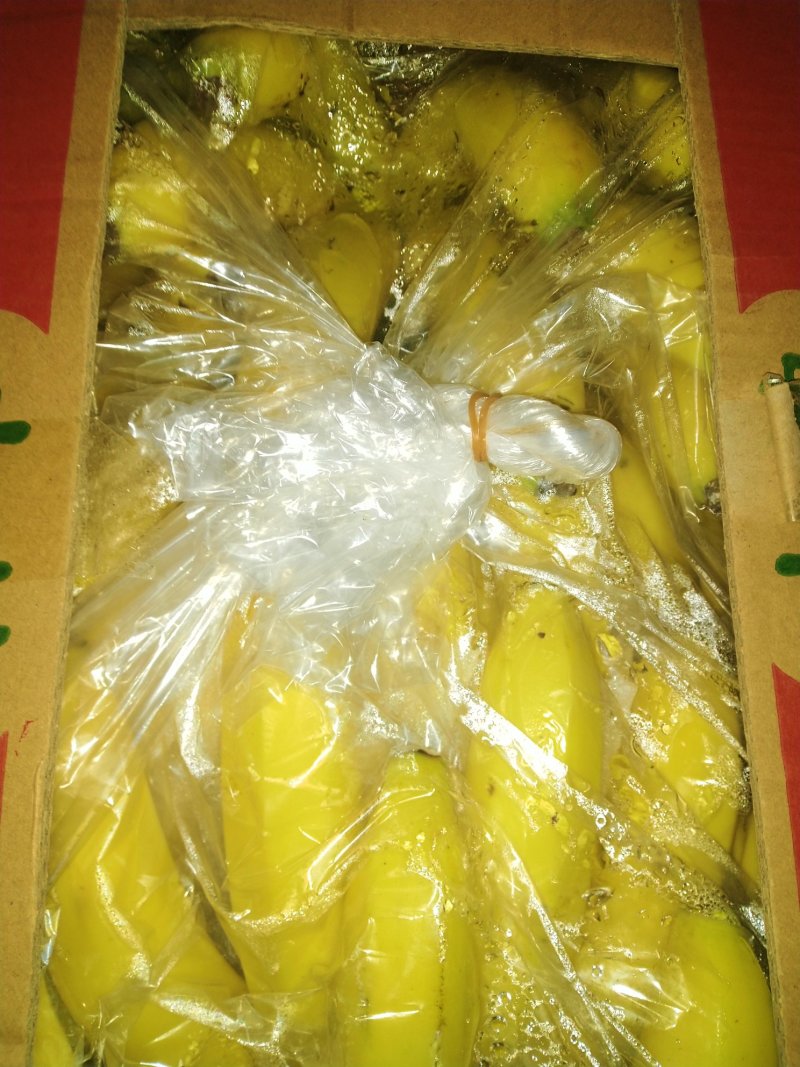 香蕉