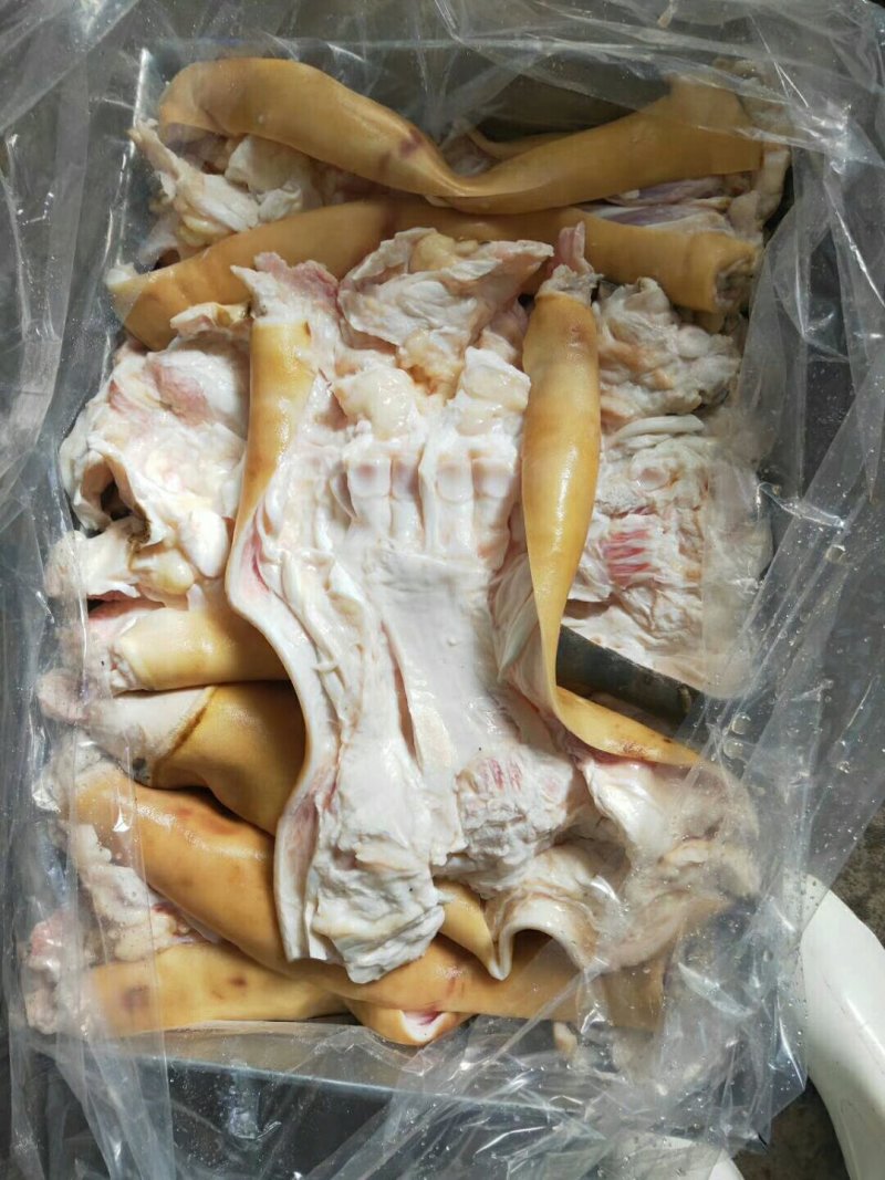 火烧半去骨，全去骨牛蹄，常年加工，大量供货。