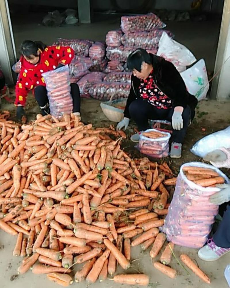 胡萝卜专用包装一经典北京包，装泥胡萝卜用