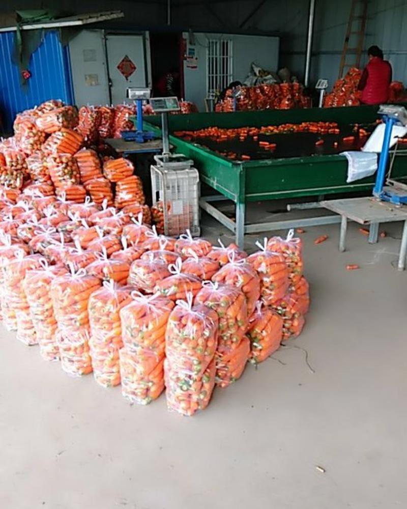 胡萝卜包装一15斤手提袋