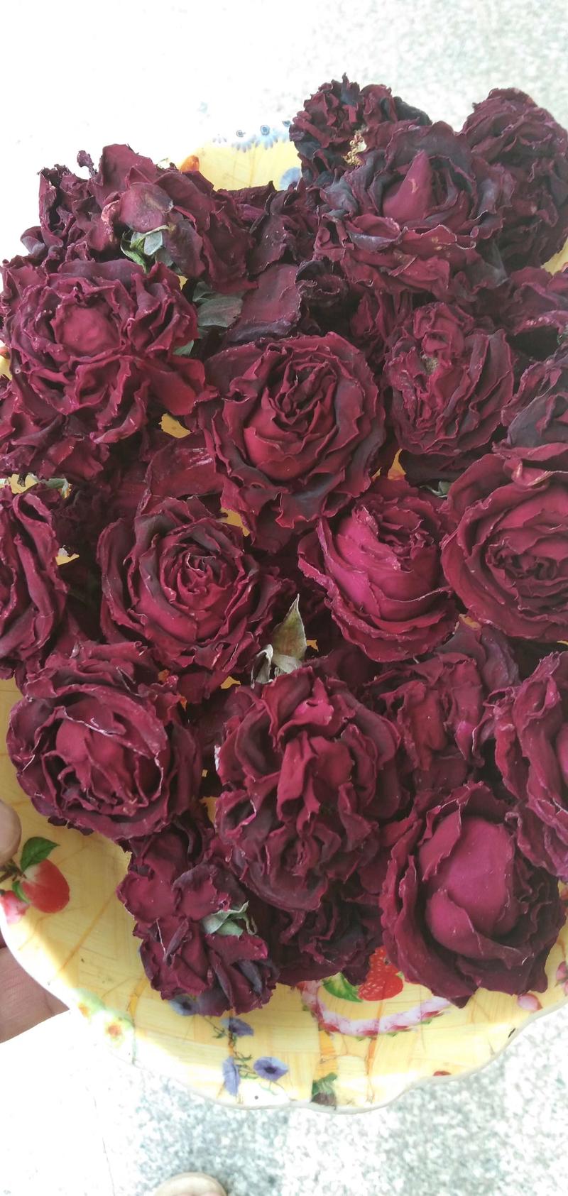 墨红玫瑰，花朵大，颜色好，包邮，可视频看货