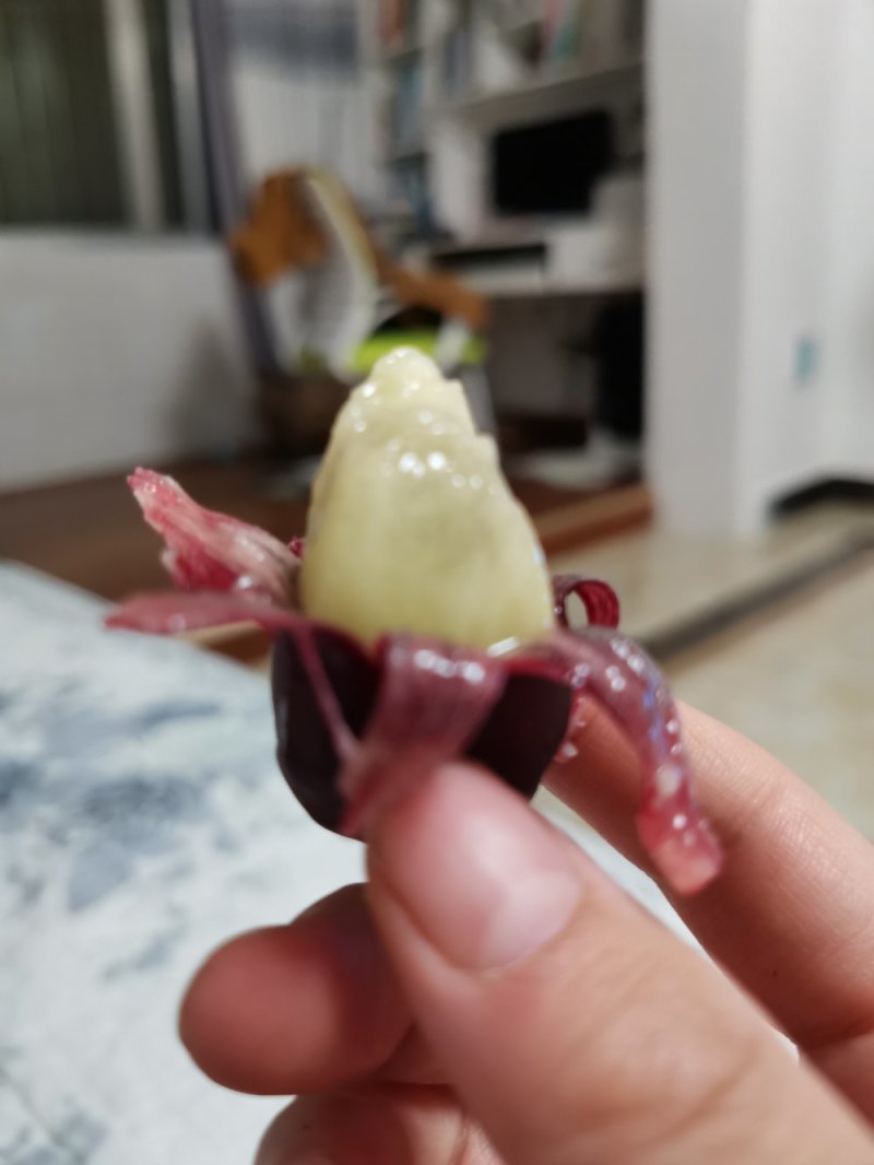 黑老虎部福娜新鲜树苗两年苗包邮现挖直发