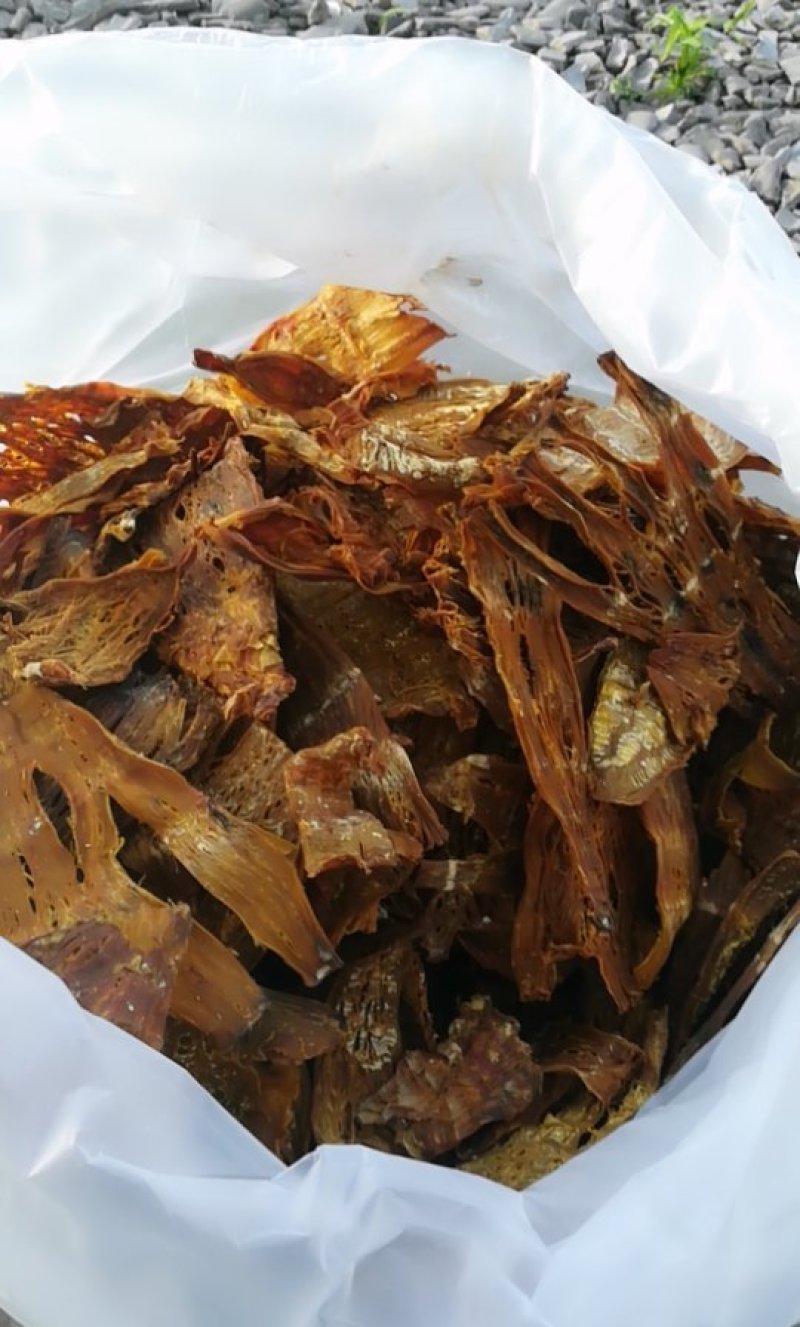 干笋