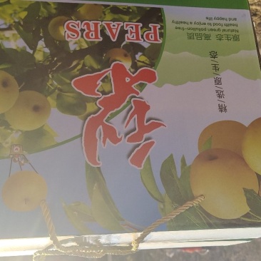 齐河县云馨家庭农场