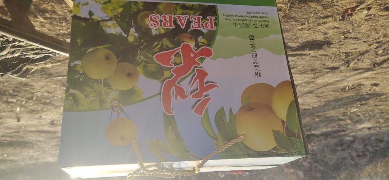 齐河县云馨家庭农场